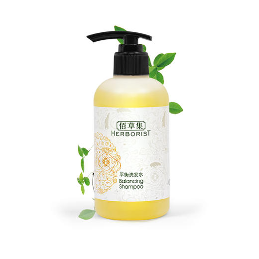 佰草集240ml平衡洗发水 买一送一 商品图1
