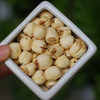药食同源小知识——莲子 商品缩略图0