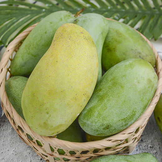 【甜到没朋友】越南小甜芒 树叶薄核 生吃脆甜 熟吃Q弹顺滑 感受少纤维的快乐 商品图2