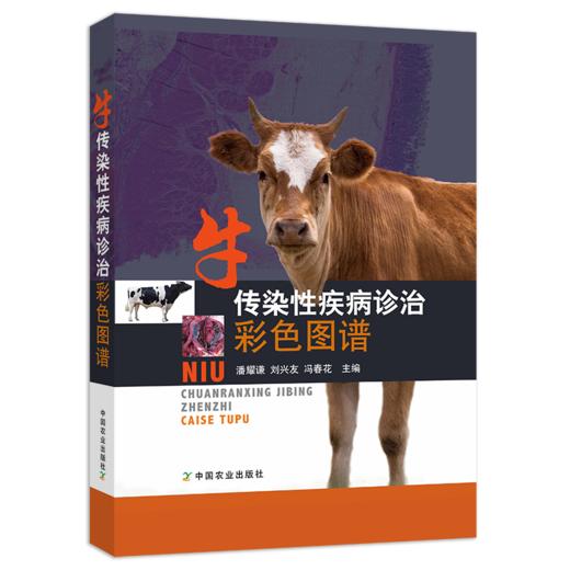 牛传染性疾病诊治彩色图谱 商品图1