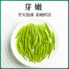【臻尖-雀舌至尚】新茶雀舌明前独芽四川绿茶100g罐装 商品缩略图4