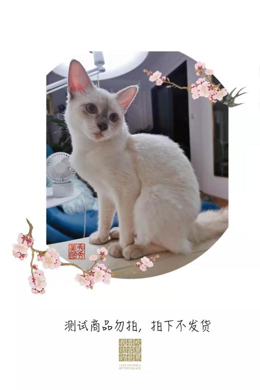 周期购-4期 商品图0