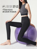 鲨鱼裤丨瑜伽裤，高弹显瘦不紧绷丨运动，健身，瑜伽，日常都可穿 商品缩略图12