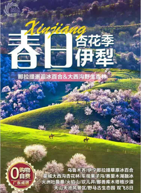 【春日伊犁】乌鲁木齐、伊宁那拉提草原冰百合、霍城大西沟福寿杏花林、车观果子沟、大西洋的眼泪赛里木湖、火洲吐鲁番、火焰山、坎儿井、鄯善库木塔格沙漠、天山天池风景区、野马古生态园 双飞8日