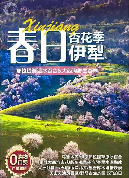 【春日伊犁】乌鲁木齐、伊宁那拉提草原冰百合、霍城大西沟福寿杏花林、车观果子沟、大西洋的眼泪赛里木湖、火洲吐鲁番、火焰山、坎儿井、鄯善库木塔格沙漠、天山天池风景区、野马古生态园 双飞8日 商品图0