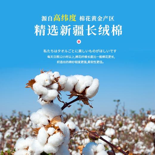 8F Towel Museum 毛巾美术馆 姆明花园面巾 商品图2