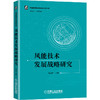 风能技术发展战略研究 商品缩略图0