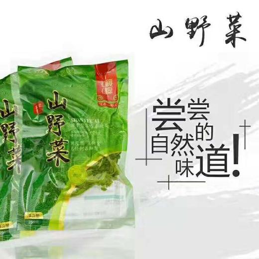 山野菜（速冻刺嫩芽*2；刺五加*2；猴腿*2；蕨菜各*2）（8袋4斤装） 商品图1
