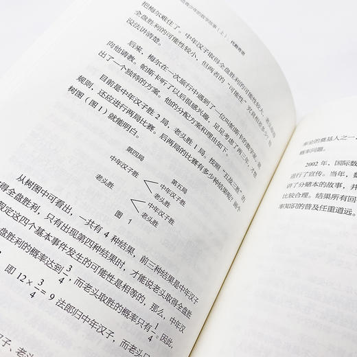 写给青少年的数学故事上 代数奇思 小学生五六年级初高中数学思维训练分析启蒙 有趣的让人睡不着 中学生课外经典科普读物 商品图5