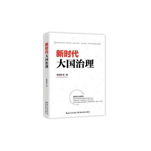 新时代大国治理 商品图0
