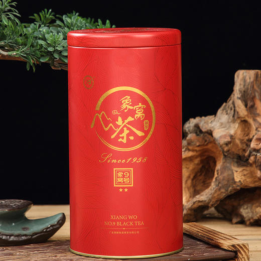 【2026新茶】象窝红茶 9号二星红茶罐装125克/罐 纯手工采摘一芽二三叶 商品图2
