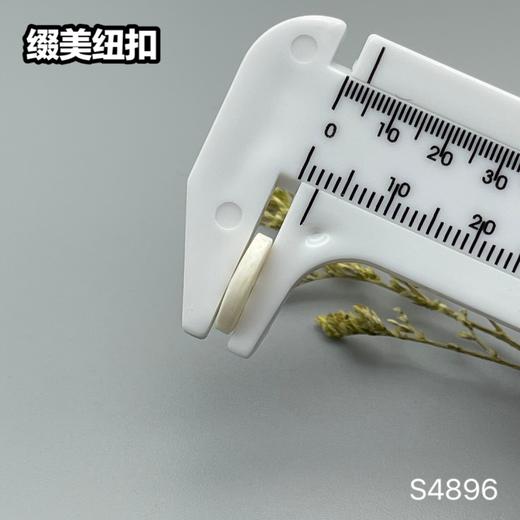 S4896(整包购买) 商品图7