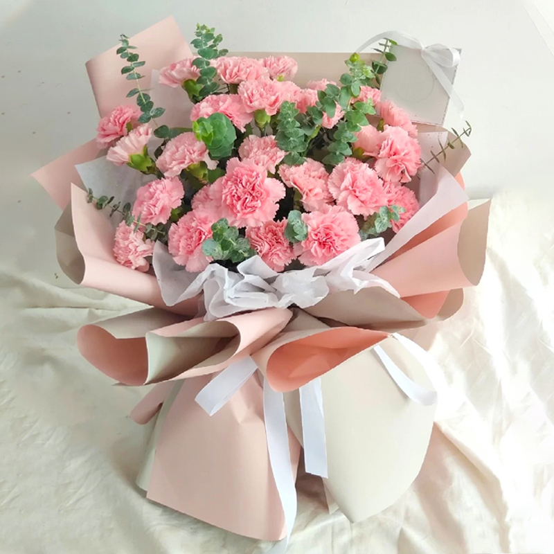 33朵66朵康乃馨花束送妈妈老师长辈领导母亲节教师节生日祝福礼物