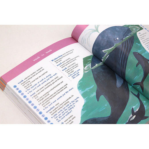 进口英文原版绘本Oxford First Illustrated Dictionary牛津幼儿字词典 商品图3