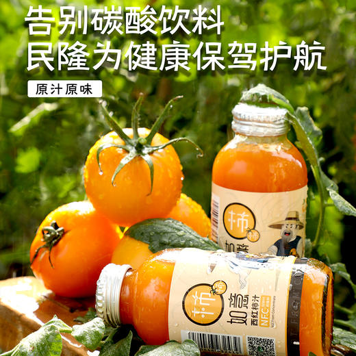 内蒙古民隆黄西柿果汁（270ml*6瓶） 商品图0