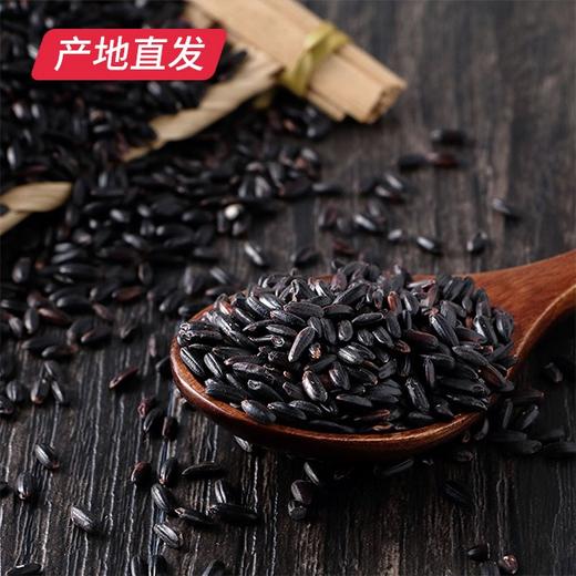 【晋之坊】黑米 2.5kg 产地直发 商品图4
