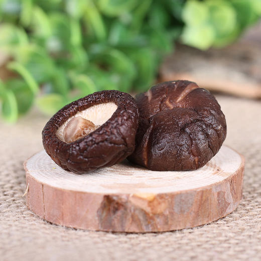 【东北】土极啦长白山珍菌菇礼盒500g 商品图3