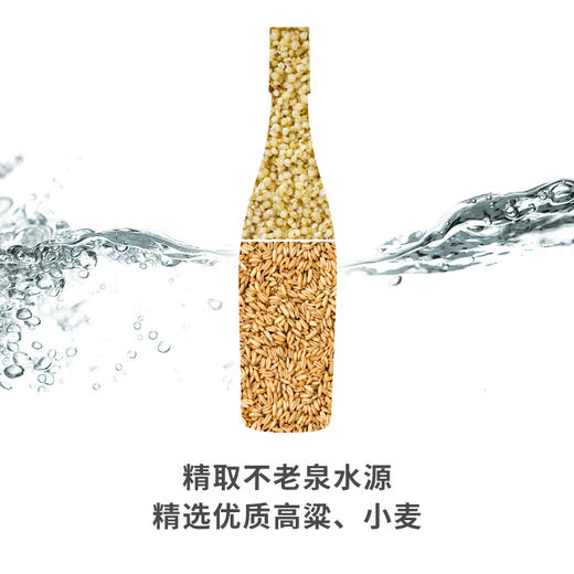 【厂家直发】一担粮感叹号（42度）包邮 商品图1