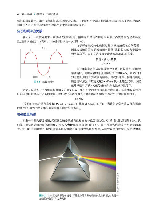 无货已下架 康复物理因子治疗 第5五版 翻译版 王于领 朱玉连 主译 物理治疗师实用工具书物理因子治疗书籍 9787117307000人民卫生出版社 商品图4