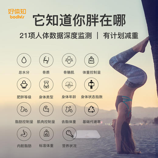 精准测量21项指标 全家健康顾问 | 清华同方 好体知bodivis智能体脂秤 家用健康秤[福利品] 商品图3