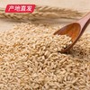 【晋之坊】燕麦米 2.5kg 产地直发 商品缩略图1