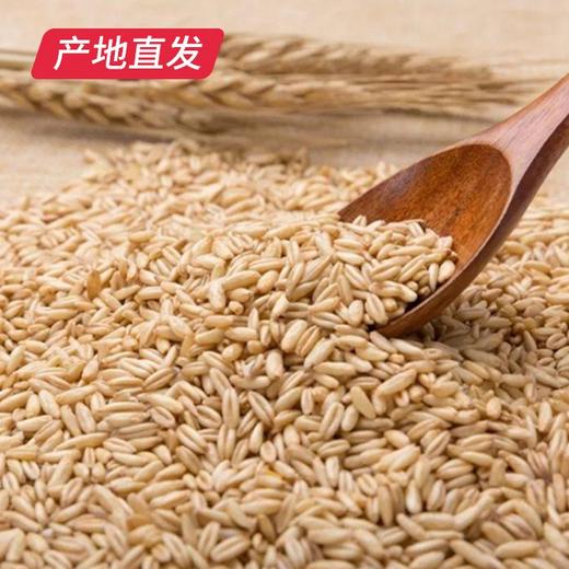 【晋之坊】燕麦米 2.5kg 产地直发 商品图1