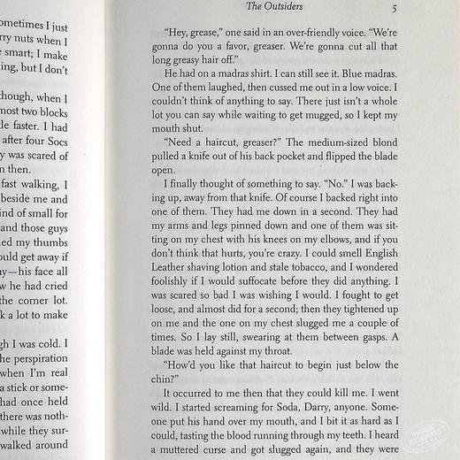 预售 【中商原版】常青藤国际大奖小说追逐金色的少年 局外人英文原版The Outsiders S.E.Hinton苏珊埃洛伊斯欣顿青少年读物 商品图4