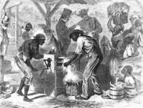  新棉花技术的源头是鞭子，这与美国奴隶制一样古老 