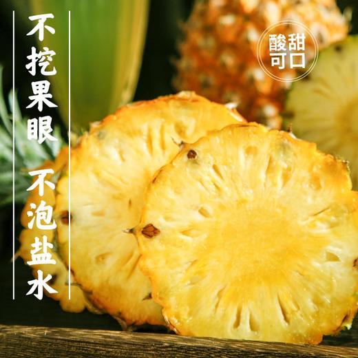 海南金钻凤梨（4.5斤左右2-3粒）新老包装随机发货【社群】 商品图8