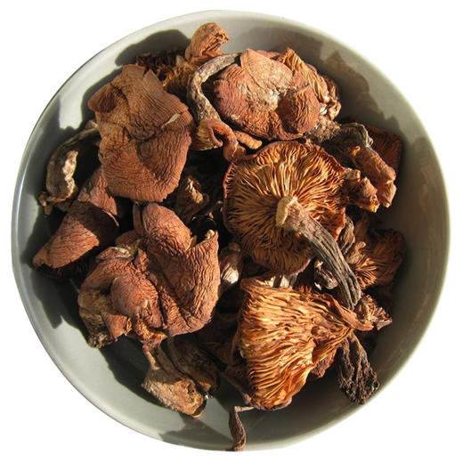 【东北】土极啦榛蘑东北野生菌菇100g 商品图3