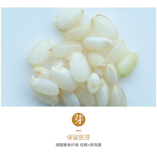 【积分兑换】 | 阿福视界发芽糙米，自带胚芽，东北粗粮富含γ氨基丁酸 免泡糙米 商品图8