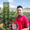 有机云南蓝莓| 合作生产*Organic blue berry | Coproduction 商品缩略图1