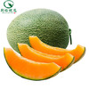 哈蜜瓜500g/斤 商品缩略图0