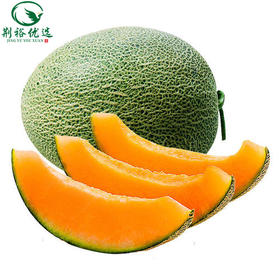 哈蜜瓜500g/斤