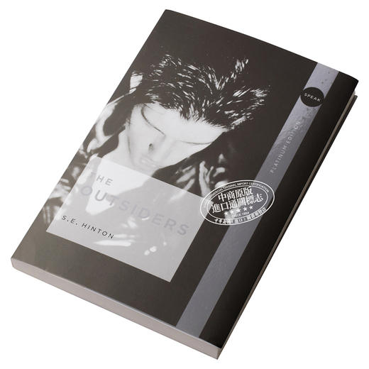 预售 【中商原版】常青藤国际大奖小说追逐金色的少年 局外人英文原版The Outsiders S.E.Hinton苏珊埃洛伊斯欣顿青少年读物 商品图2