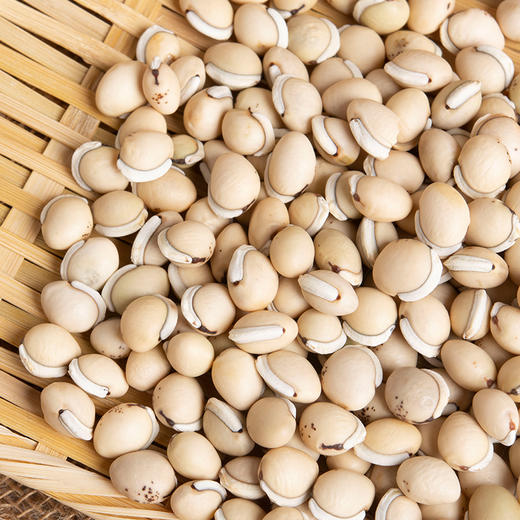 【自营】精品四川白扁豆2袋装 商品图2