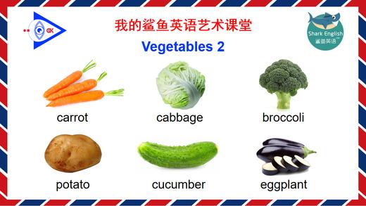 Vegetables 朗读示范2 商品图0