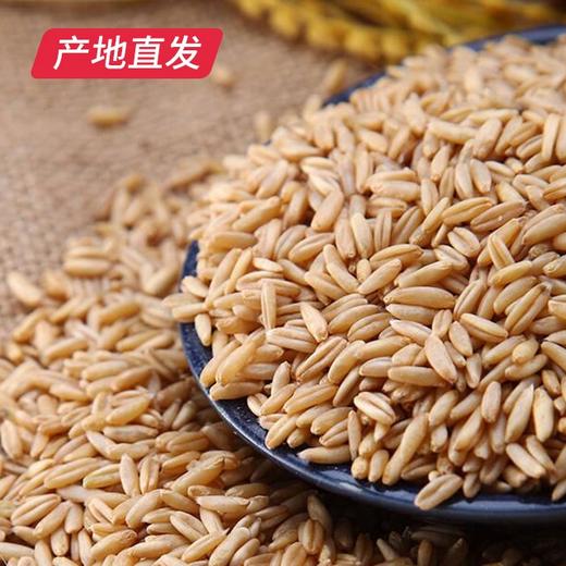 【晋之坊】燕麦米 2.5kg 产地直发 商品图0