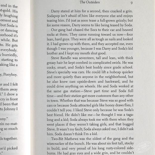 预售 【中商原版】常青藤国际大奖小说追逐金色的少年 局外人英文原版The Outsiders S.E.Hinton苏珊埃洛伊斯欣顿青少年读物 商品图6