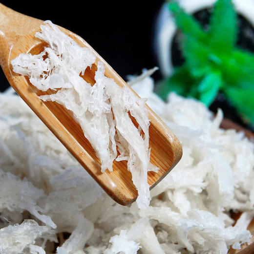 燕窝 燕条 商品图1