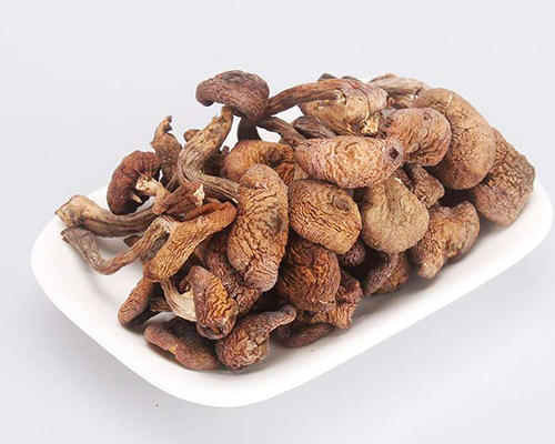 【东北】土极啦榛蘑东北野生菌菇100g 商品图1