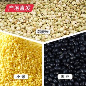 【晋之坊】小米+荞麦米+黑豆组合装 450g*3袋（每种各一袋）产地直发
