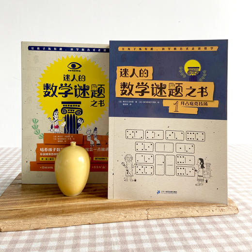 【数学科普】迷人的数学谜题之书 全5册 赠送15节思维视频课 让孩子在玩耍中学会解决问题  真正锻炼孩子的直觉力和创造力 商品图3