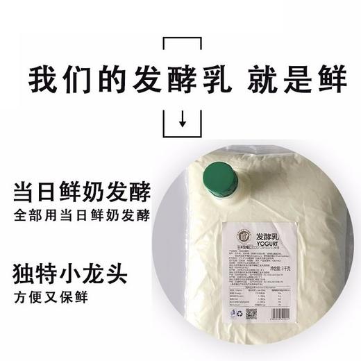 科尔沁酸奶-牛奶乐园（3公斤装） 商品图1