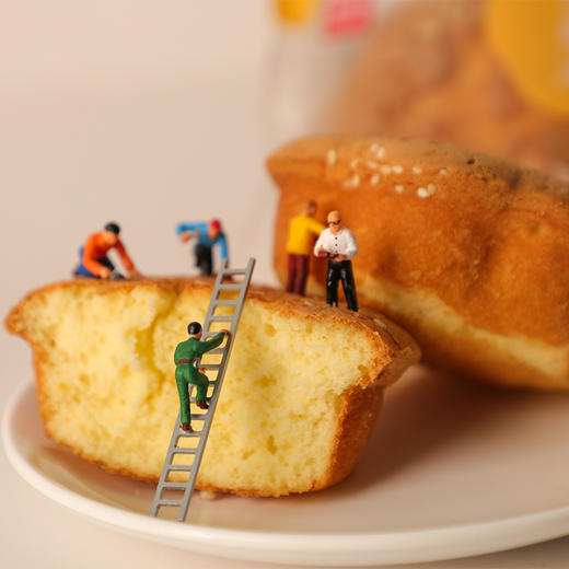 海鹏五一出游零食糕点大礼包1340g 商品图1