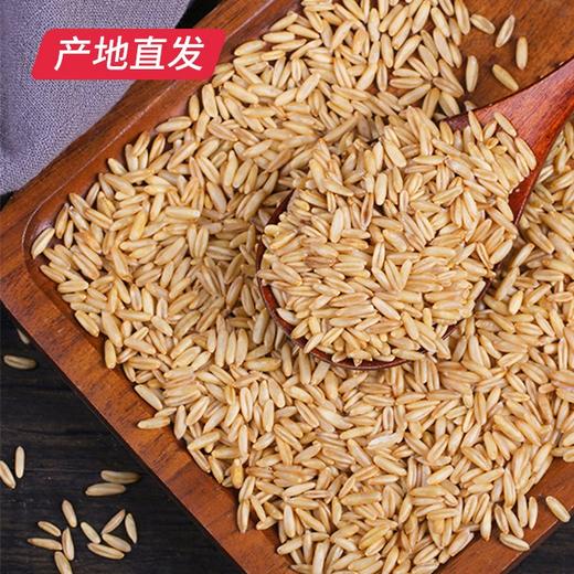 【晋之坊】燕麦米 2.5kg 产地直发 商品图2