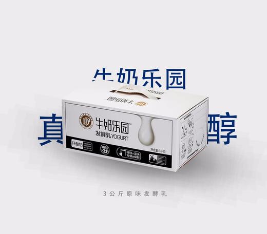 科尔沁酸奶-牛奶乐园（3公斤装） 商品图0