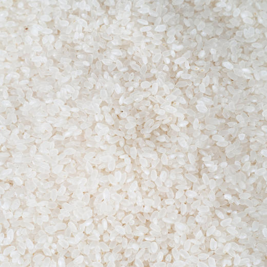 【东北】吉乡禾优选大米10斤 商品图2