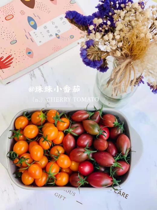 云南珠珠小番茄 商品图2