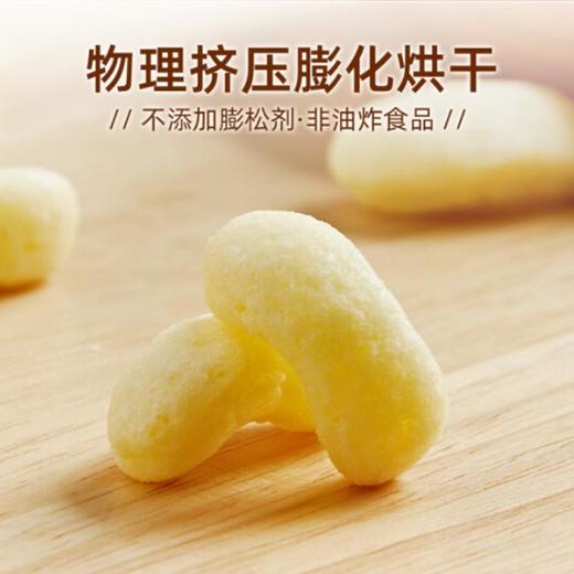 盼盼香葱鸡味块【105g】 商品图2